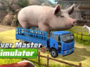 Driver Master Simulator